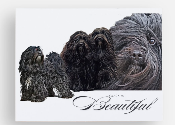 Magnetbild – „Black is Beautiful“